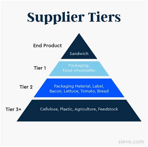 the levels of suppliers within a supply chain are called